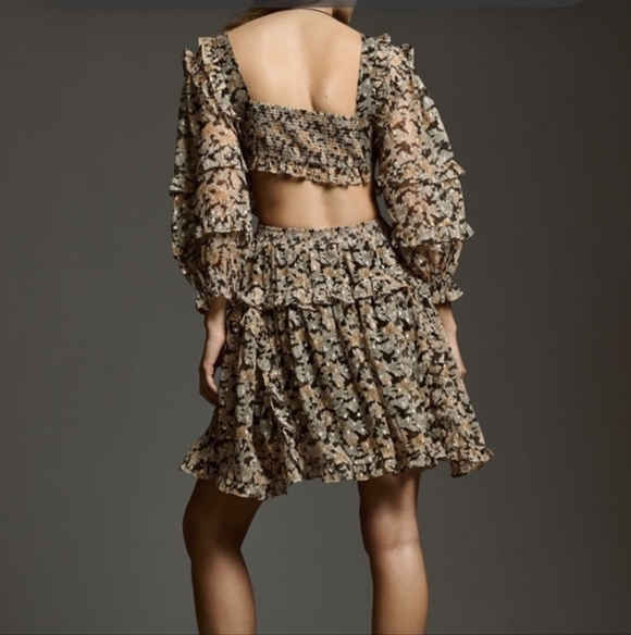 NWT $178 Anthropologie V-Neck Ruffle Cutout Dress (Size Small - Picture 6 of 14